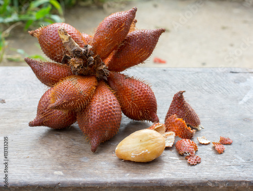 Canvastavla salak seed
