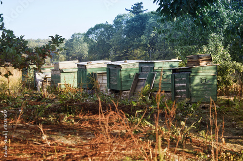 beehives in the autumn
