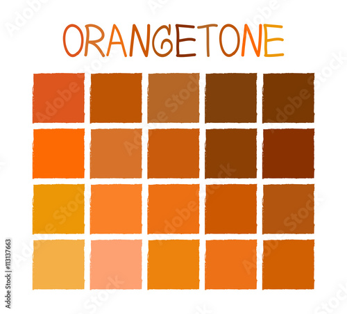 Orangetone Color Tone without Name Vector Illustration