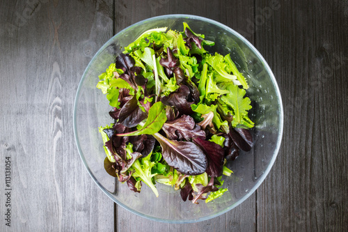 Fresh green salad with arugula, red chard, mangold and lettuce i