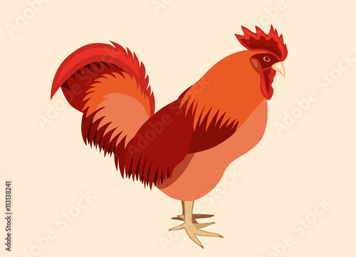 Red rooster in profile/Side view of the red rooster