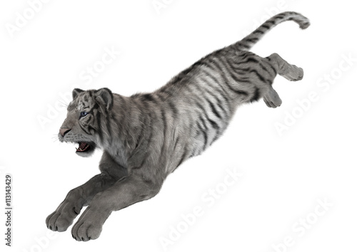 Fototapeta Naklejka Na Ścianę i Meble -  3D Rendering White Tiger on White