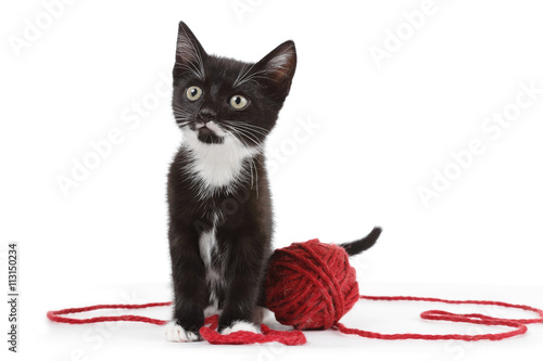 chaton noir et blanc jouant avec pelote de laine rouge photo