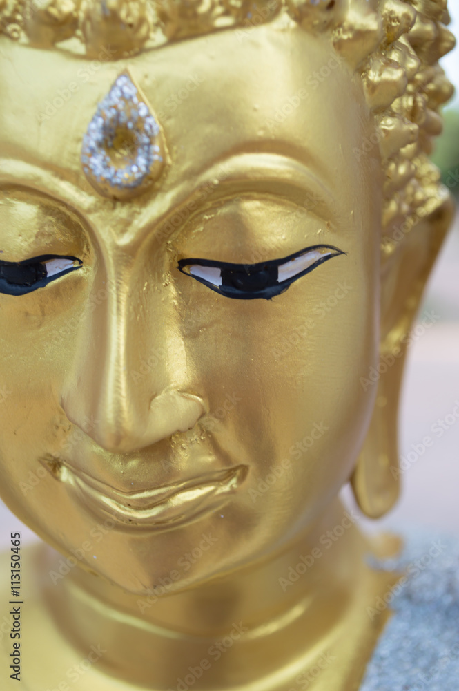 the face of monk the face of monk