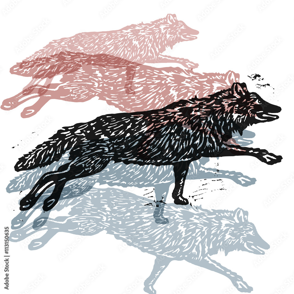 Naklejka premium Vector wolves in abstract composition