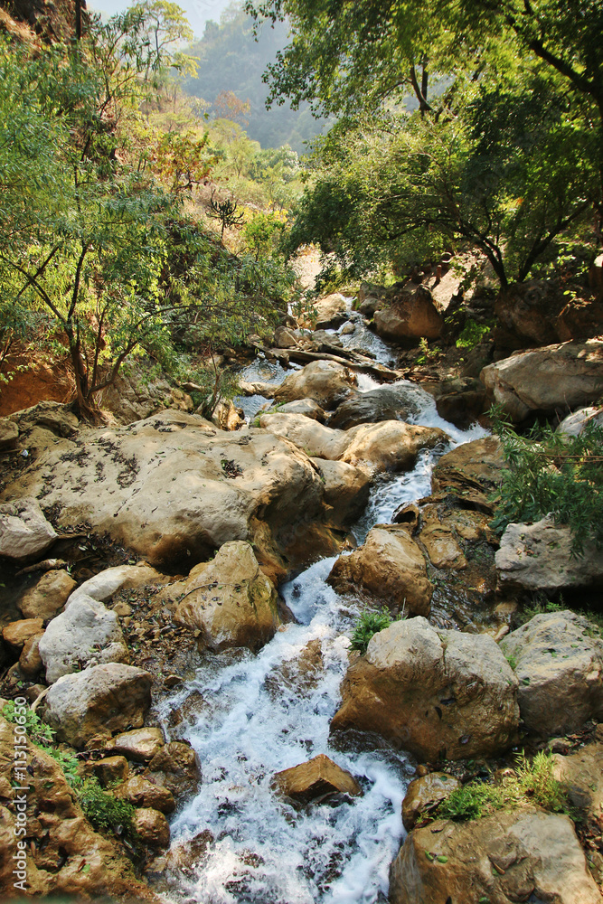 Waterfall in a forest