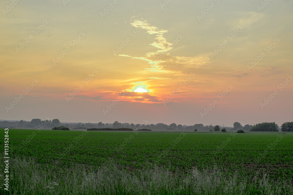 Fototapeta premium Zachód słońca w pomarańczowej barwie