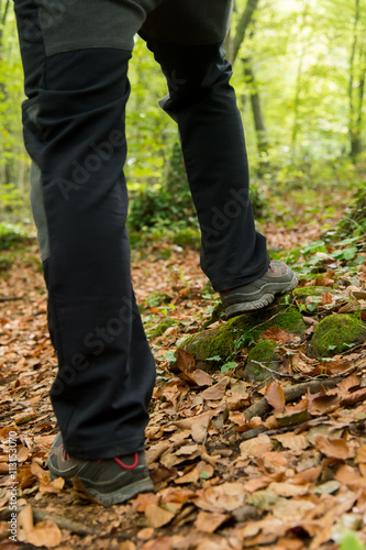 Walking in a beech forest