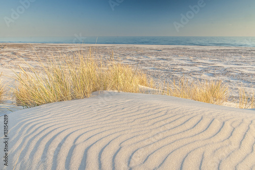 beautiful view of the coastal dunes