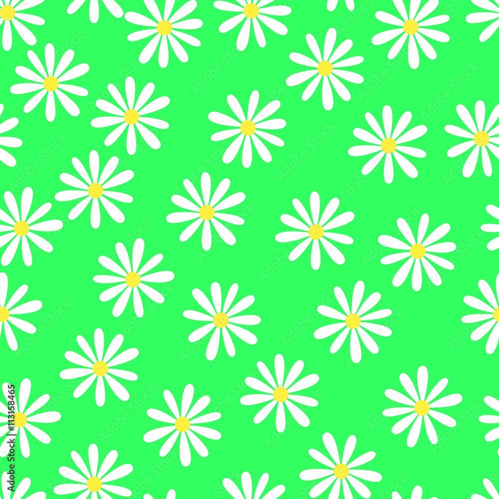 Camomiles, Seamless floral pattern Camomiles, Seamless floral pattern