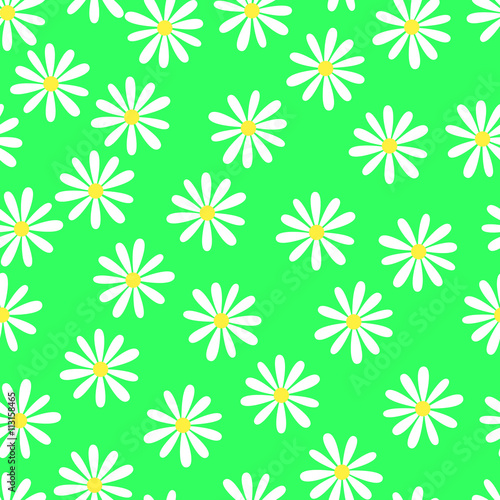 Camomiles  Seamless floral pattern