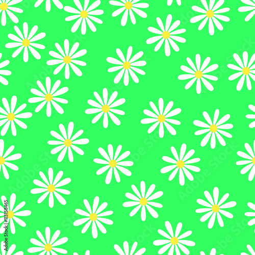 Camomiles, Seamless floral pattern