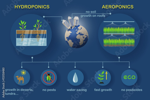 Aeroponic and hydroponic growing systems with Earth planet. Colored vector infographics