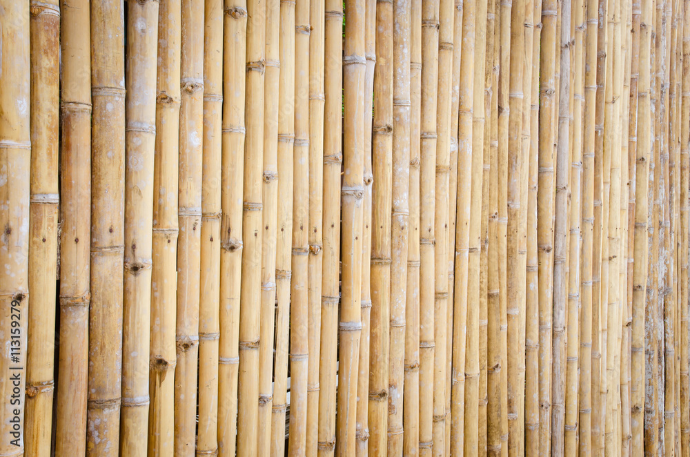 Fototapeta premium bamboo fence background