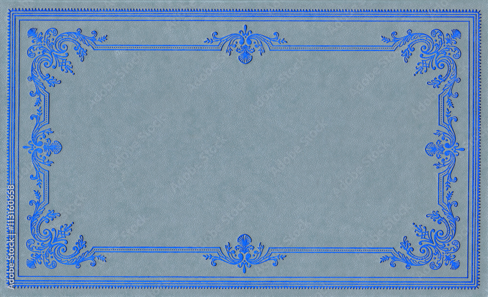 Obraz premium Light blue leather cover