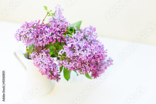 branch of lilac in a vase on white background with shadow