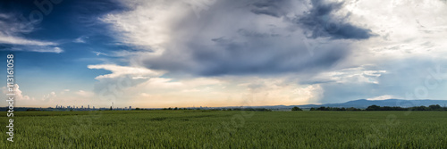 Panorama over a wheat field with a beautiful cloudscape