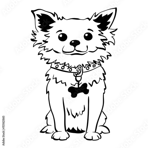 Sketch Funny dog long-coat chihuahua breed sitting hand drawing vector