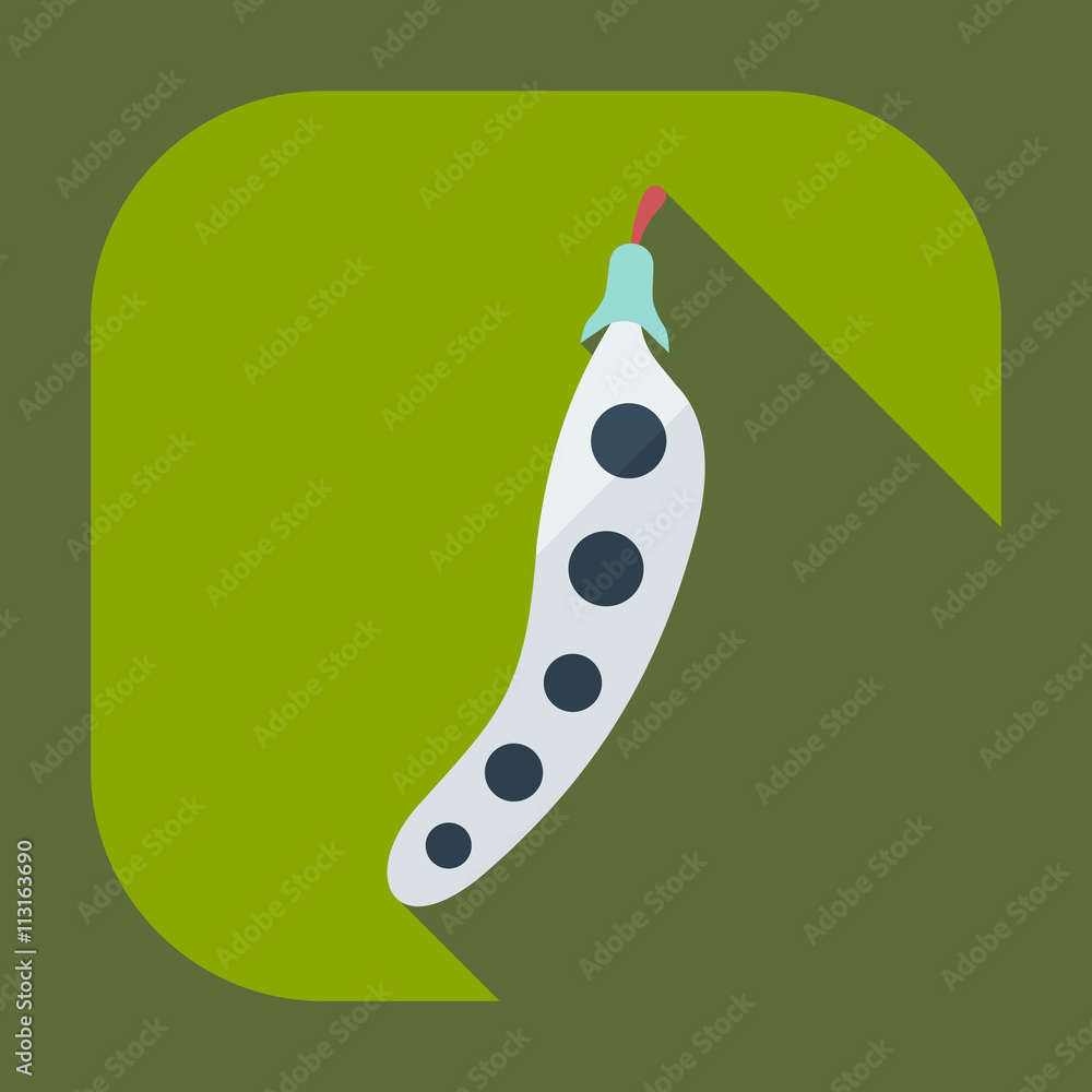 Flat modern design with shadow icons beans Flat modern design with shadow icons beans