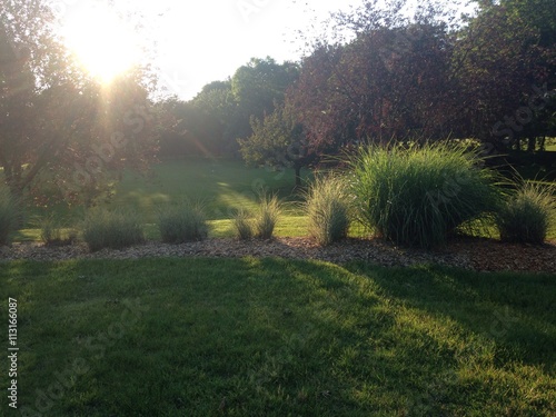 early morning sun in the countryside