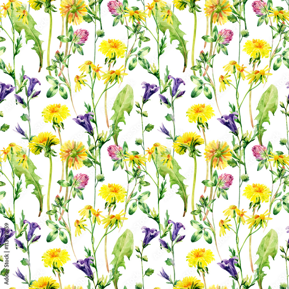 Meadow watercolor flowers seamless pattern