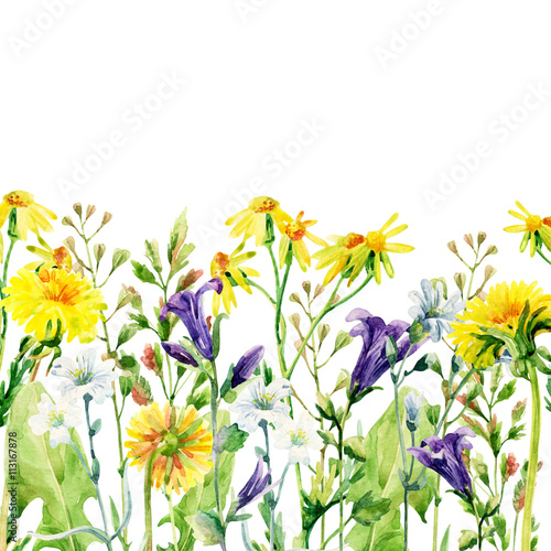 Meadow watercolor flowers card © Tanya Syrytsyna