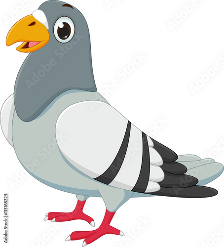 cute pigeon cartoon