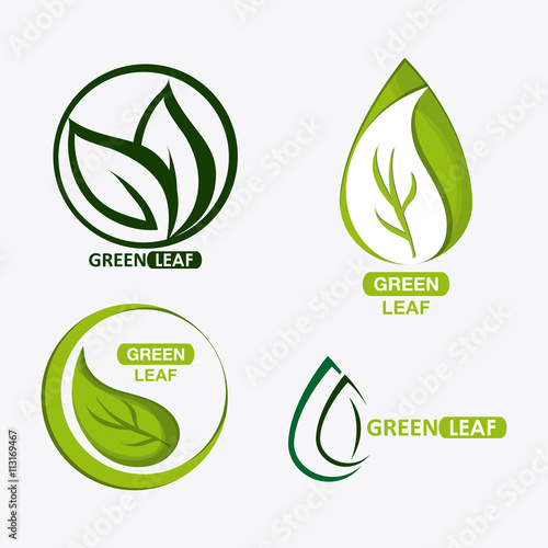 set of green leves design. nature icon. White background, graphic vector