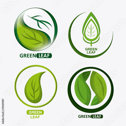 set of green leves design. nature icon. White background, graphic vector