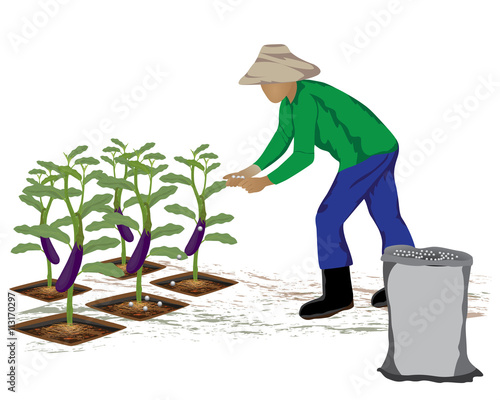 agriculture manure eggplant vector design