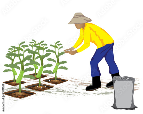 agriculturist manure eggplant vector design