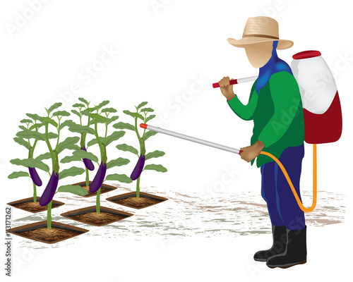 agriculturist manure eggplant vector design
