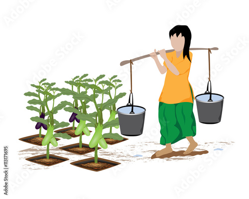 agriculturist watering eggplant vector design