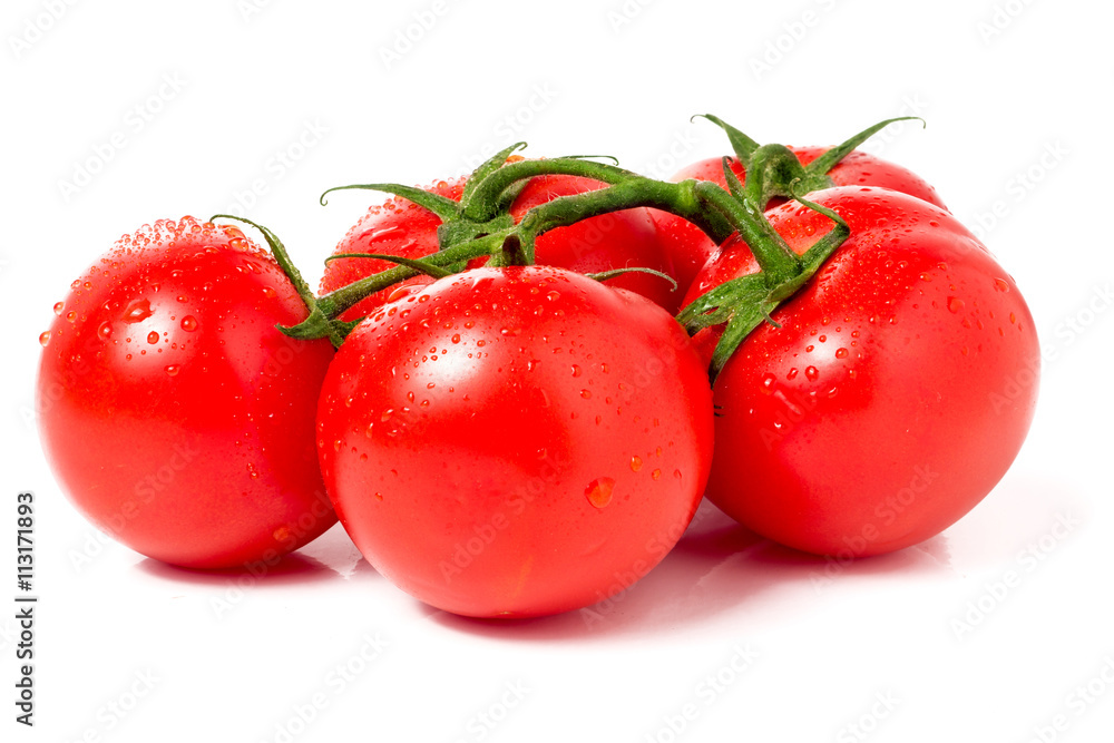 Tomato branch with water droplets isolated on white background Tomato branch with water droplets isolated on white background