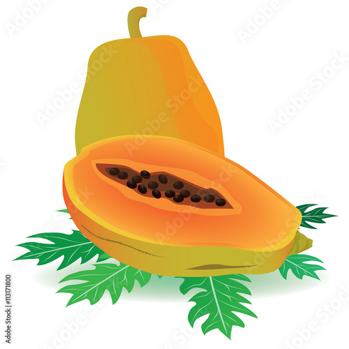 papaya vector design