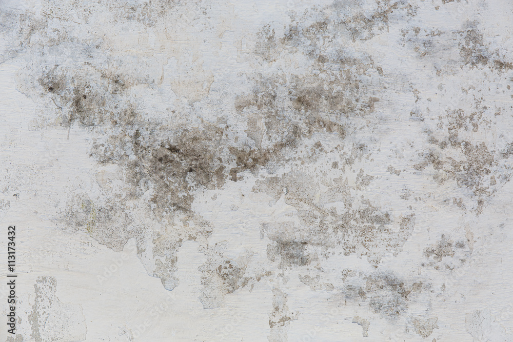 Obraz premium Old textured wall background