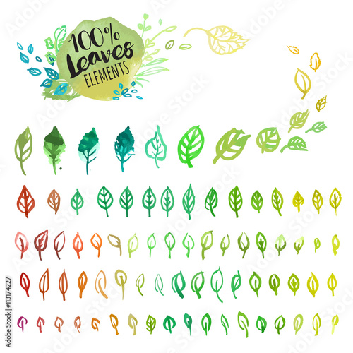 Set of hand drawn watercolor colorful leaves. Vector illustrations for graphic and web design, for nature, natural products, spa and cosmetics, beauty and fashion, environment.
