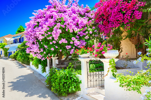 Fototapeta Naklejka Na Ścianę i Meble -  House with bougainvillea