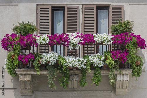 Window with flowers in italy © alexmat46