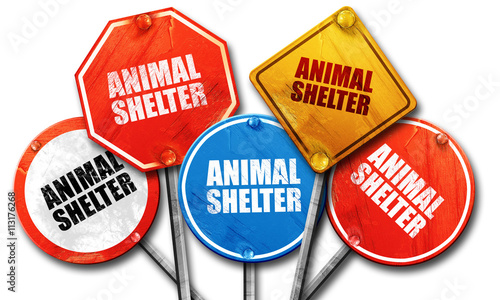 animal shelter, 3D rendering, street signs