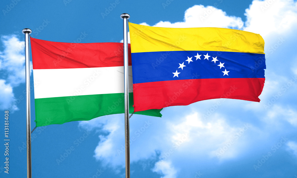 Hungary flag with Venezuela flag, 3D rendering Hungary flag with Venezuela flag, 3D rendering