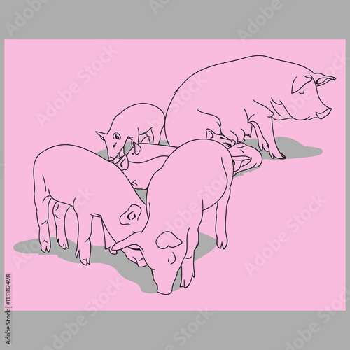 Pig and piglets (pink)
