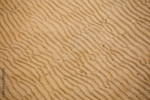 Beach sand ripples © photonewman