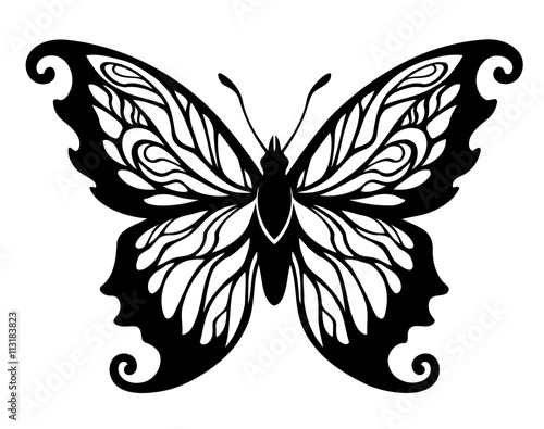 vector illustration  decorative black and white butterfly design