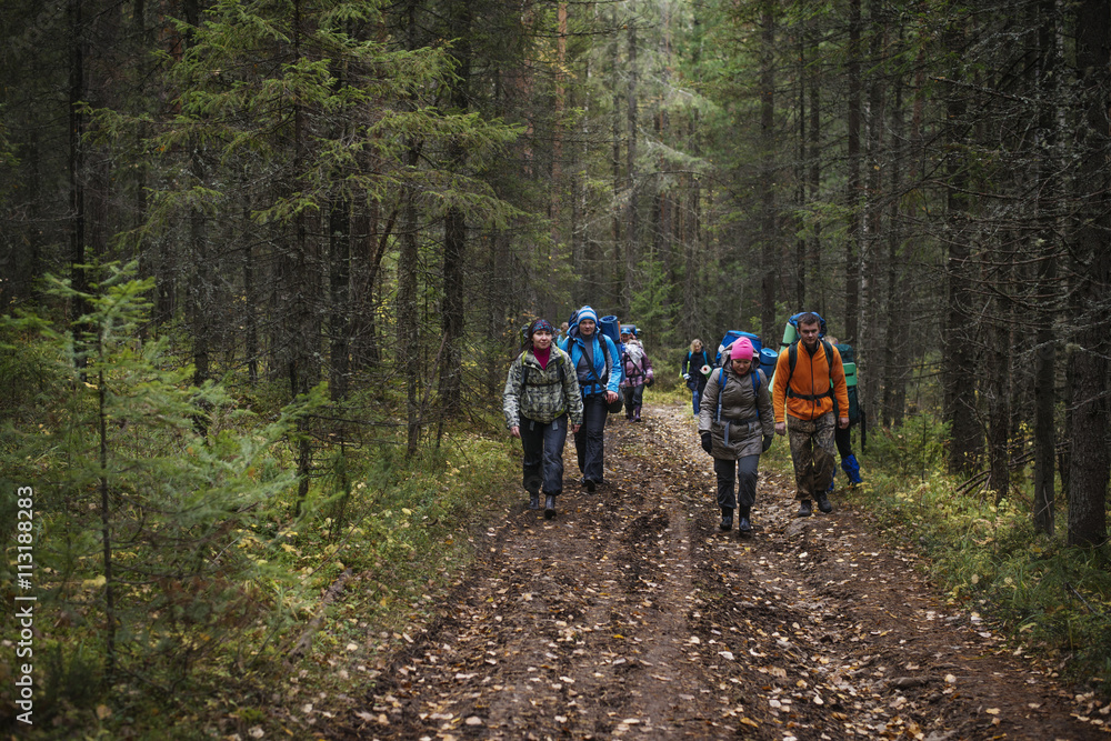 Group of hikers walking along dirt road in forest Group of hikers walking along dirt road in forest