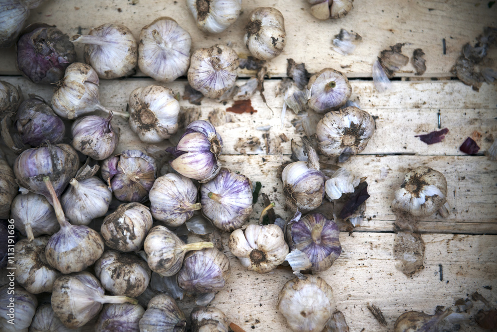 Garlic in crate Garlic in crate