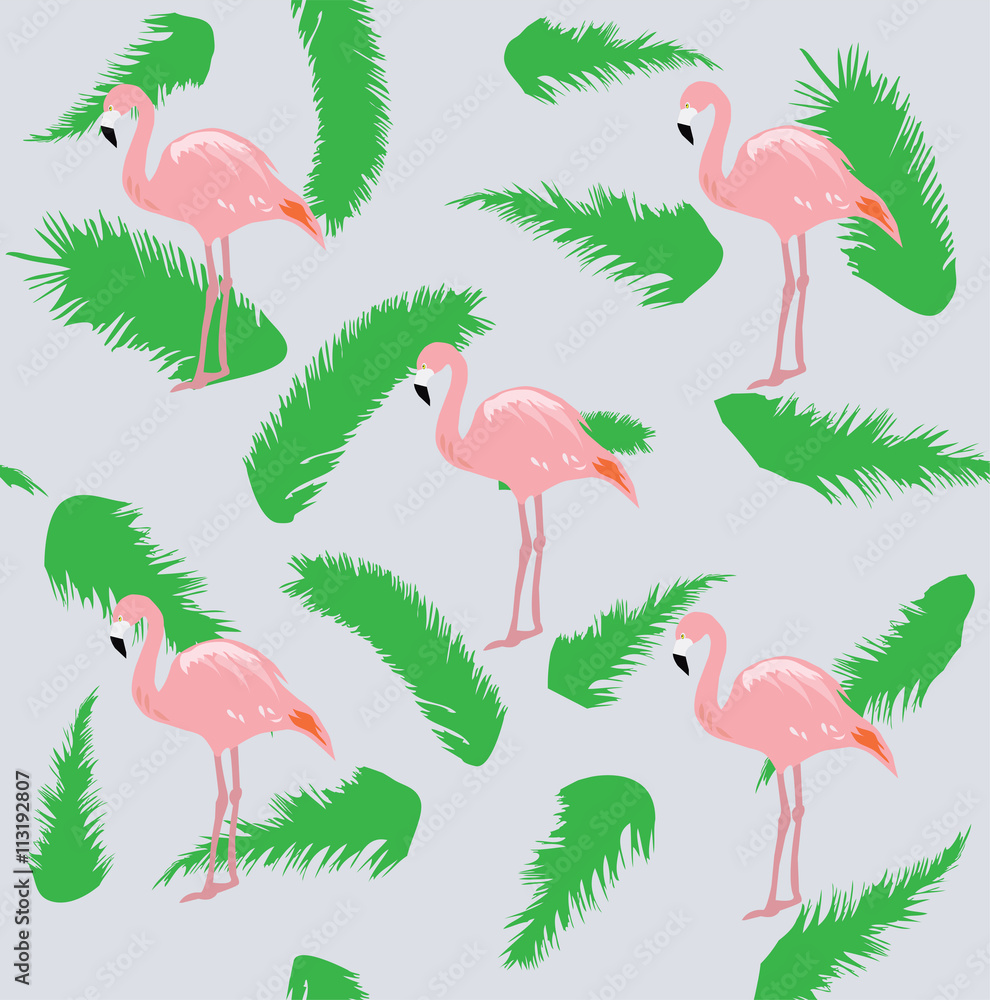 Obraz premium Flamingo