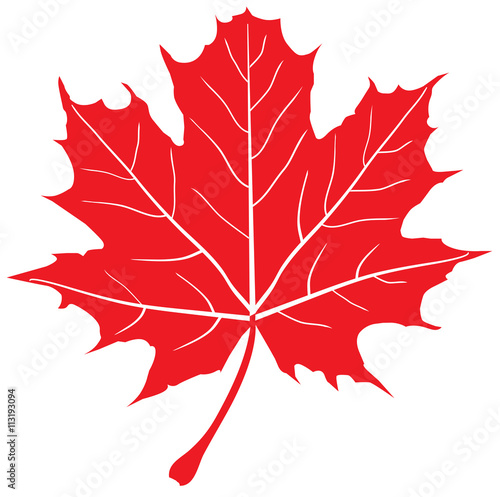 maple leaf