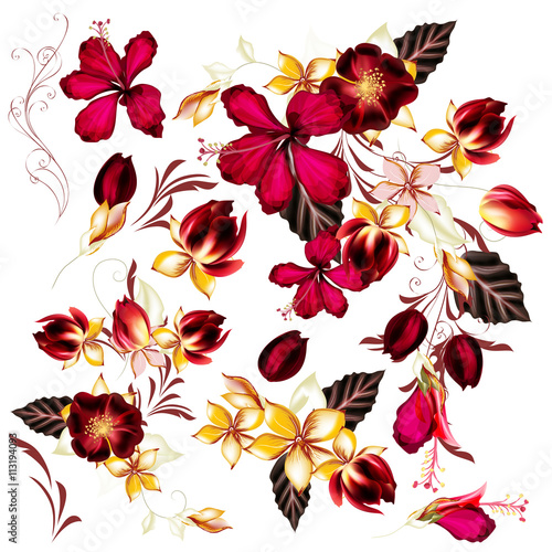 Big set of realistic vector flowers for design