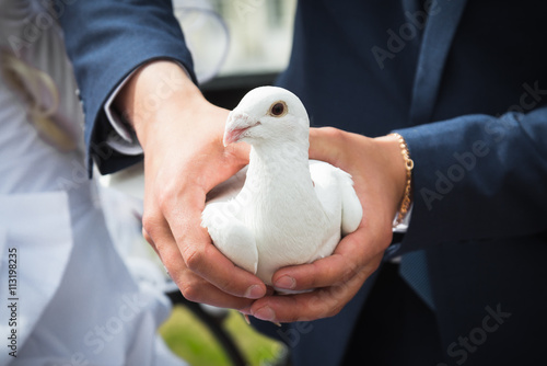 Man holding white doves in hands